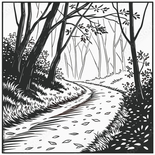 Spring Forest Path with Thin Scattered Leaves in Gentle Light