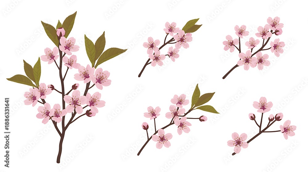 Fototapeta premium Aerial view of cherry blossoms with leaves, a serene botanical display.