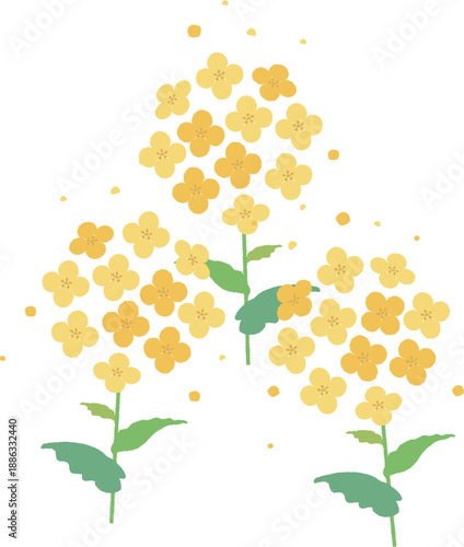 菜の花のイラスト。春の訪れを感じさせる黄色い花の可愛い素材