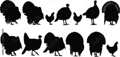 Black turkey and chicken silhouette collection showing multiple poultry poses and farm birds isolated on white background vector illustration set