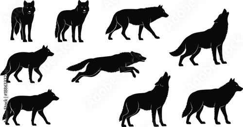 Black wolf silhouette collection showing standing, walking, running and howling wild animal poses isolated on white background vector illustration set