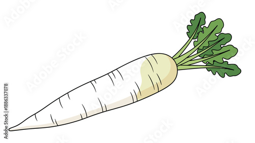 Single white daikon radish vegetable with green leafy tops shown in a realistic and clean illustration style.