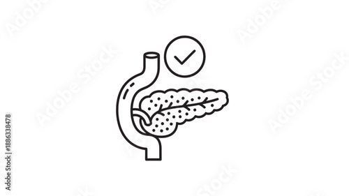 a line drawing of a healthy pancreas with a checkmark above high quality professional detailed modern