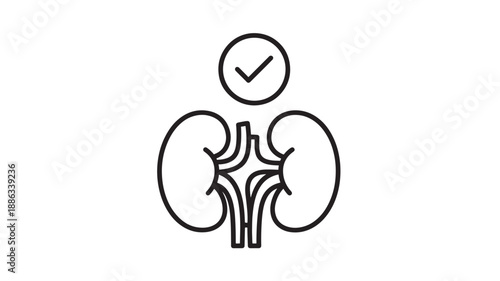 a line drawing of kidneys with a checkmark above them high quality professional detailed modern elegant