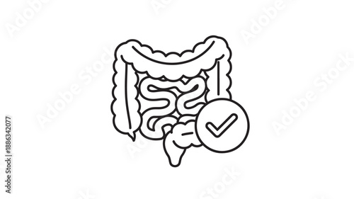 a line drawing of a healthy human large intestine with a checkmark high quality professional detailed