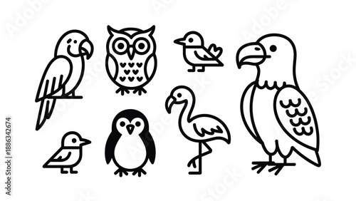 Feathered Friends Collection: A charming collection of diverse bird illustrations. Featuring each bird with unique attributes and captivating charm. 