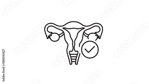 female reproductive system with clock indicating menstrual cycle high quality professional detailed modern elegant stylish clean