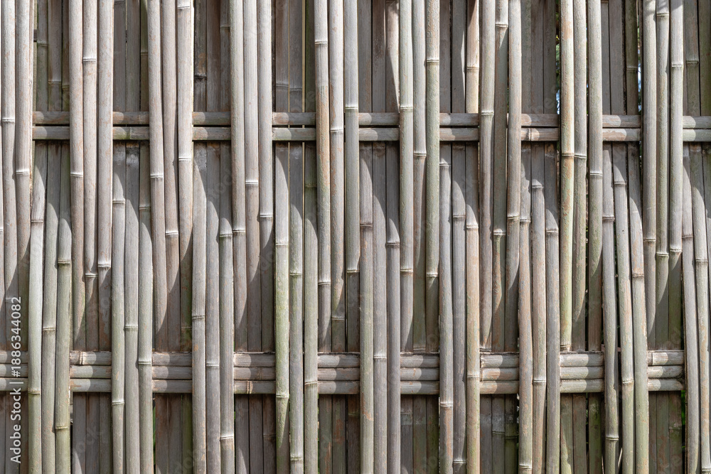 Fototapeta premium 竹塀（背景素材）