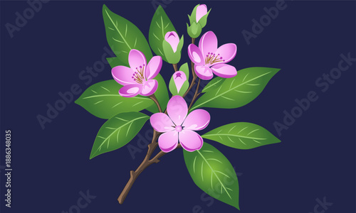 vector illustration of a pink flower