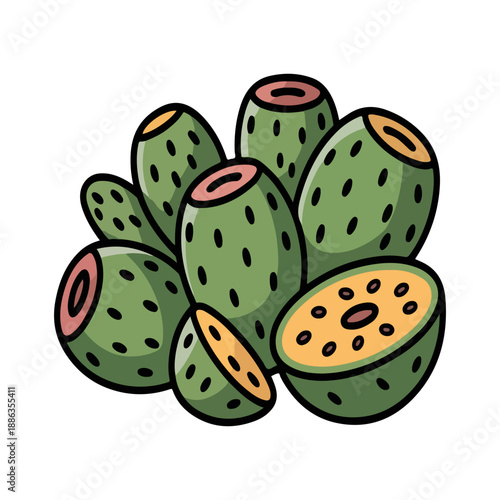 Nopal Fruit Vector Illustration of Fresh Prickly Pear Cactus Fruit Bunch with Slices