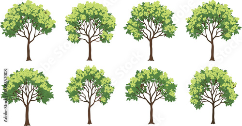 Large set of green deciduous tree vector illustrations with lush summer foliage and brown trunks isolated on white background for landscape architecture and nature design