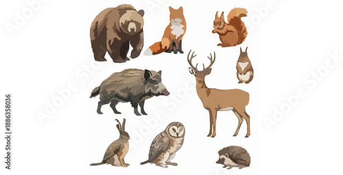 Realistic watercolor woodland animals vector illustration set