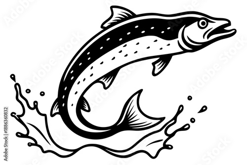 Vector illustration of a fish