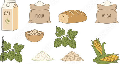 Grains and Flour Illustration Set Featuring Oats, Wheat, Corn, Bread, and Plant Leaves in Flat Vector Style