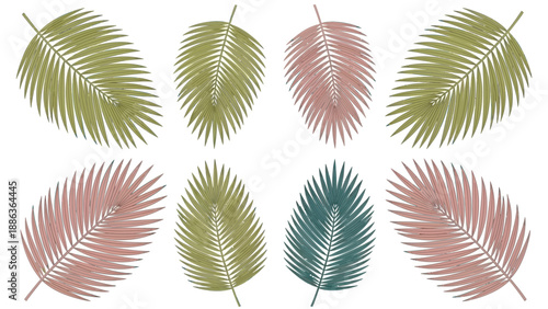 Collection of Various Colored Palm Leaves.