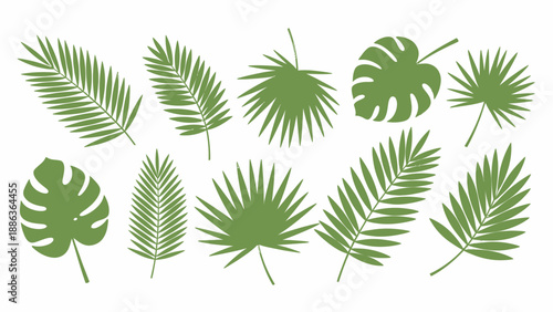 Collection of Various Tropical Leaves Shapes.