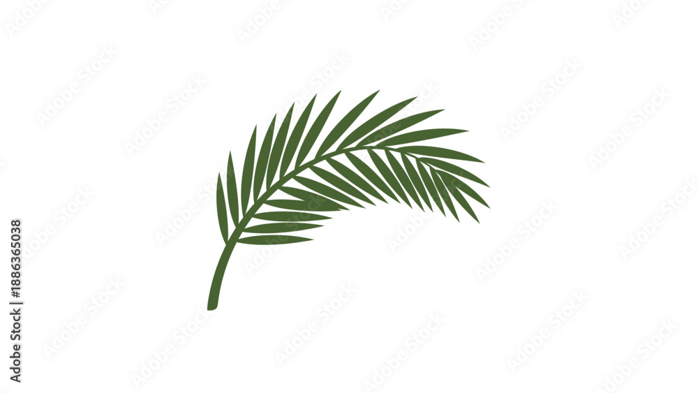 Fototapeta premium Palm Frond Leaf Green Foliage Illustration.