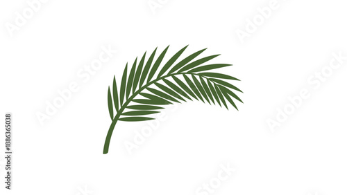 Palm Frond Leaf Green Foliage Illustration.