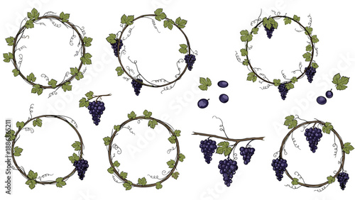 Decorative collection of grapevine wreaths features green leaves and clusters of purple grapes in various artistic circular arrangements.