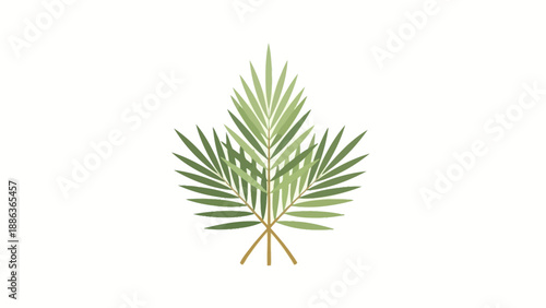 Palm Frond Leaves Green Foliage Plant.