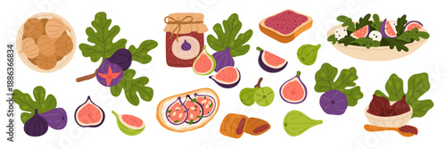 Cartoon figs. Sweet desserts, salad and sandwiches, dried fruits and jam on toast, branches with leaves, green and purple varieties whole and slice, healthy food ingredients garish vector set