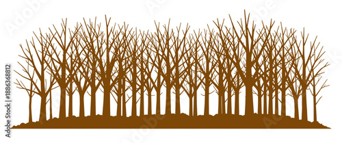 Autumn Forest Tree Silhouette Landscape