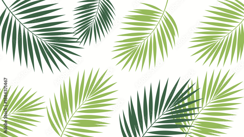 Obraz premium Palm Leaves Pattern on White Background.