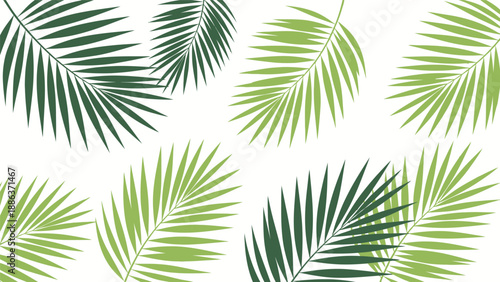 Palm Leaves Pattern on White Background.