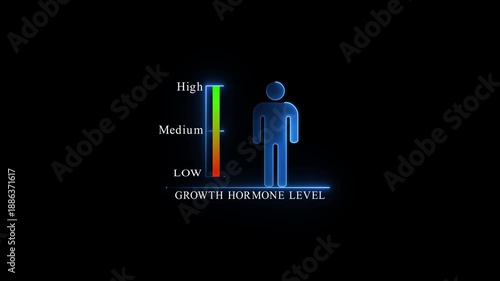 Growth Hormone Level Chart With Green Neon Male Figure.4k Animation.
