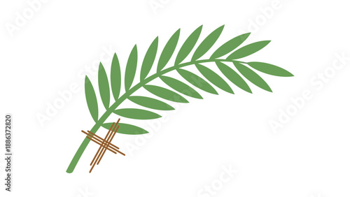 Palm Branch with Leaves Tied Together.