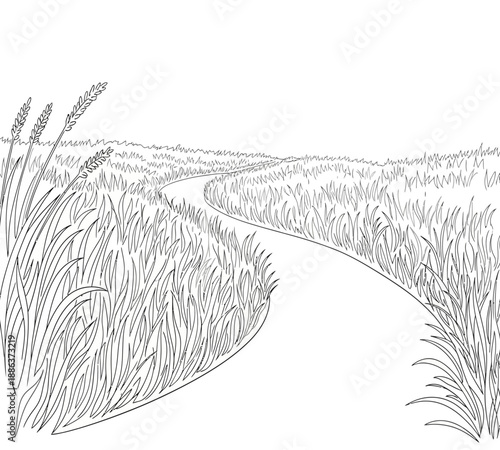 A winding path through tall grasses and fields sketched in a minimalist style