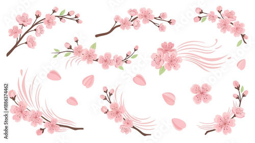 Cherry Blossom Branch Collection - Spring Flowers, Petals, and Blossoms