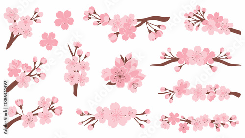 Cherry Blossom Branch Collection: Pink Spring Flowers Isolated on White Background