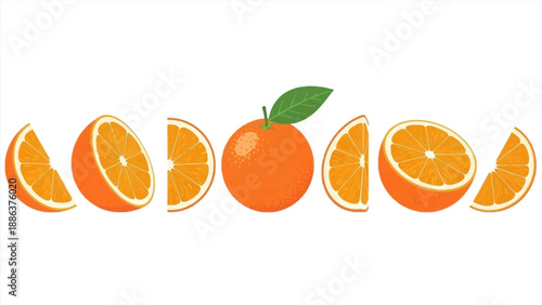 Vibrant illustration of fresh and juicy oranges, featuring whole, halved, and sliced citrus fruits