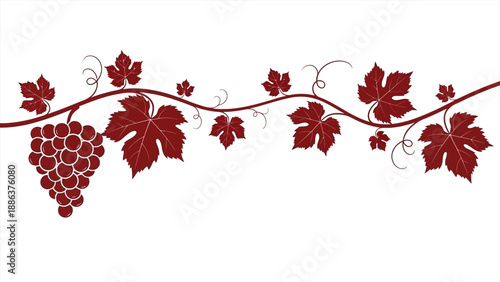 Decorative grape vine with leaves and cluster for wine and harvest themes