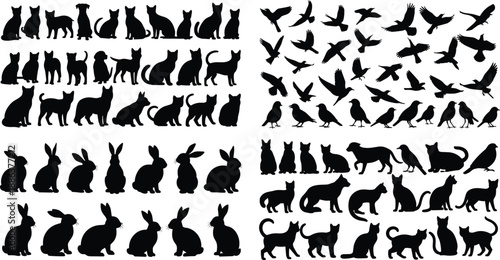 Large Collection of Domestic Pet and Wild Animal Silhouettes Including Cats Dogs Rabbits and Birds in Various Poses Isolated on White Background for Design
