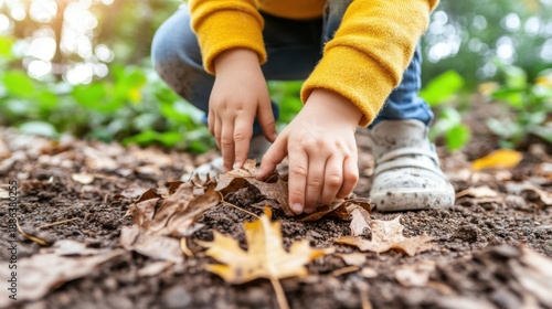 Child's Hands Gently Brushing Autumn Leaves on the Ground