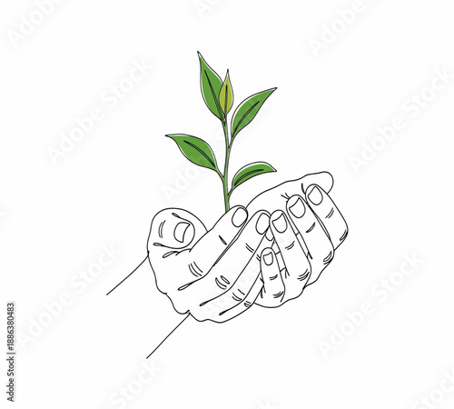 A delicate hand cradles a small green plant symbolizing growth and nurturing life