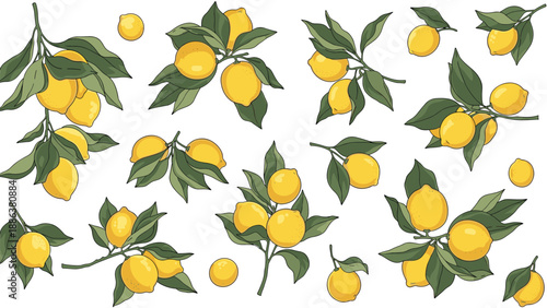 Large set of lemon illustrations including full branches with green leaves, fruit clusters, and individual whole lemons in a vibrant style.