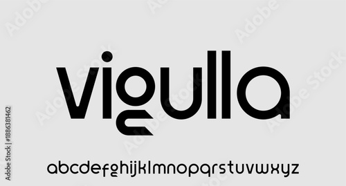 display font typeface to make your brand looks premium	
