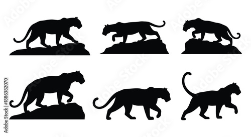 Panther silhouettes showing different walking poses on rocks