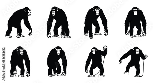 Chimpanzee silhouettes displaying various standing postures and actions
