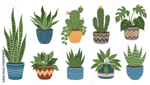 Diverse collection of indoor houseplants is displayed in various decorative pots with different leaf shapes and patterns.