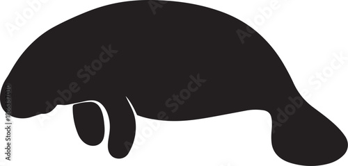 vector illustration of a elephant