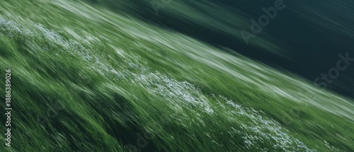 Panel kuchenny z motywem Wild bluebells swaying in mountain grass in a summer alpine meadow with motion blur for travel background content featuring copy space and natural greenery