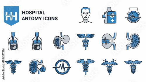 Hospital Anatomy Icons Set Medical Symbols Collection.