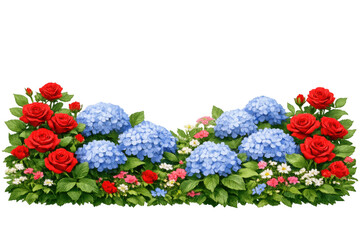 Vibrant red roses and blue hydrangeas, blooming garden flowers with green leaves, floral border on transparent