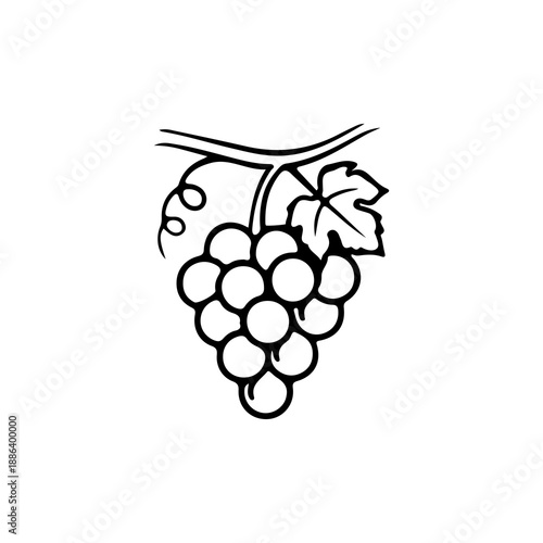 A simple line art illustration of a bunch of grapes hanging from a vine