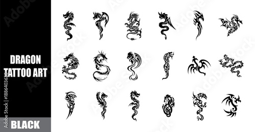 Collection of black dragon tattoo art designs in various styles and poses. Tribal and fantasy dragon silhouettes.