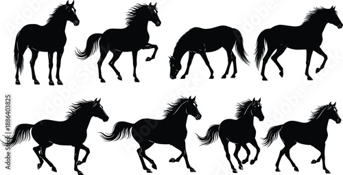 Horse Silhouette Collection Featuring Running, Galloping, And Grazing Poses, Black Equine Wildlife Vector Illustration Set For Logos And Design